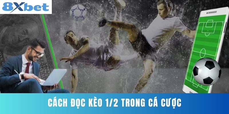 Cách Đọc Kèo 1/2 Trong Cá Cược