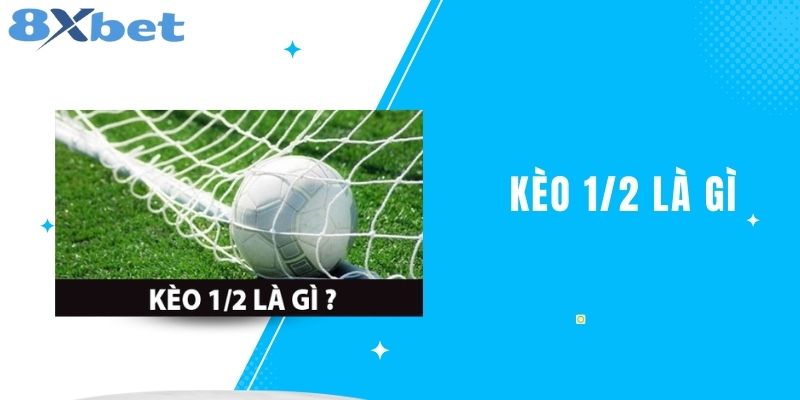 Kèo 1/2 Là Gì? Tìm Hiểu Chi Tiết Về Loại Kèo Này