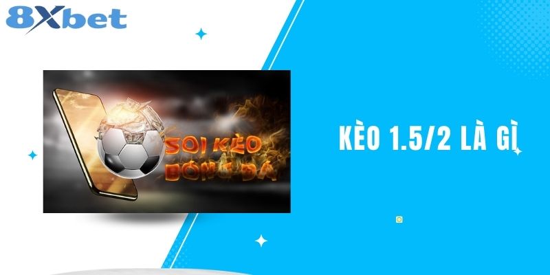 Kèo 1.5/2 Là Gì? Tìm Hiểu Chi Tiết Về Loại Kèo Này