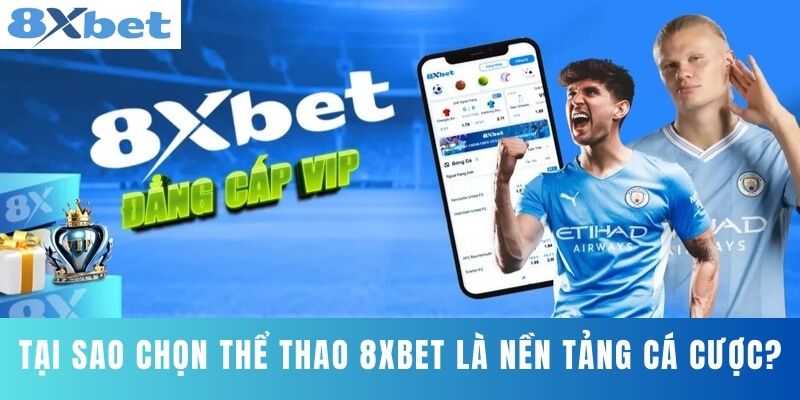 Tại Sao Chọn Thể Thao 8XBET Là Nền Tảng Cá Cược?